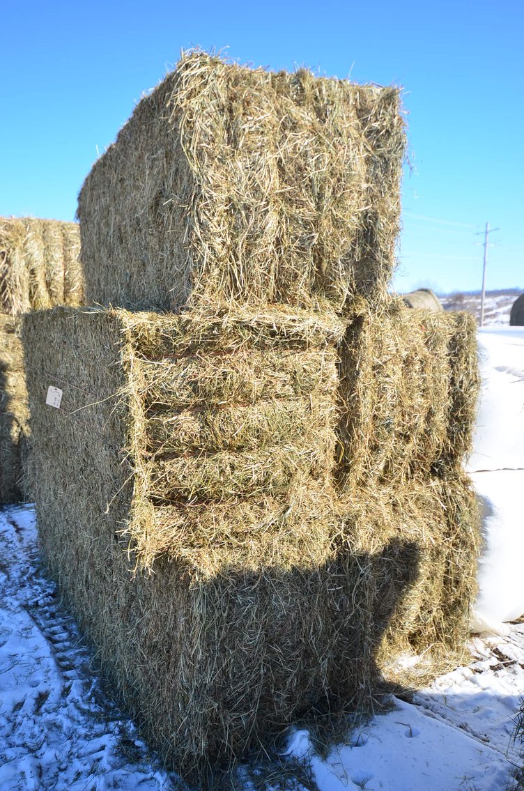Image for MARCH DODGE HAY & BEDDING - Dodge, WI