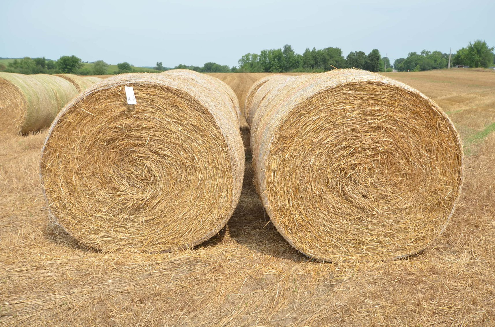 Image for AUGUST FARM AND HEAVY EQUIPMENT - Multiple Locations, WI