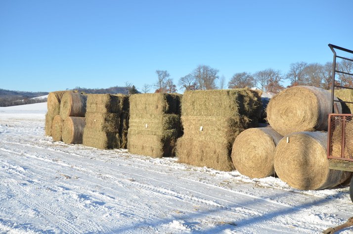 DODGE DECEMBER ONLINE HAY AUCTION - Dodge, WI