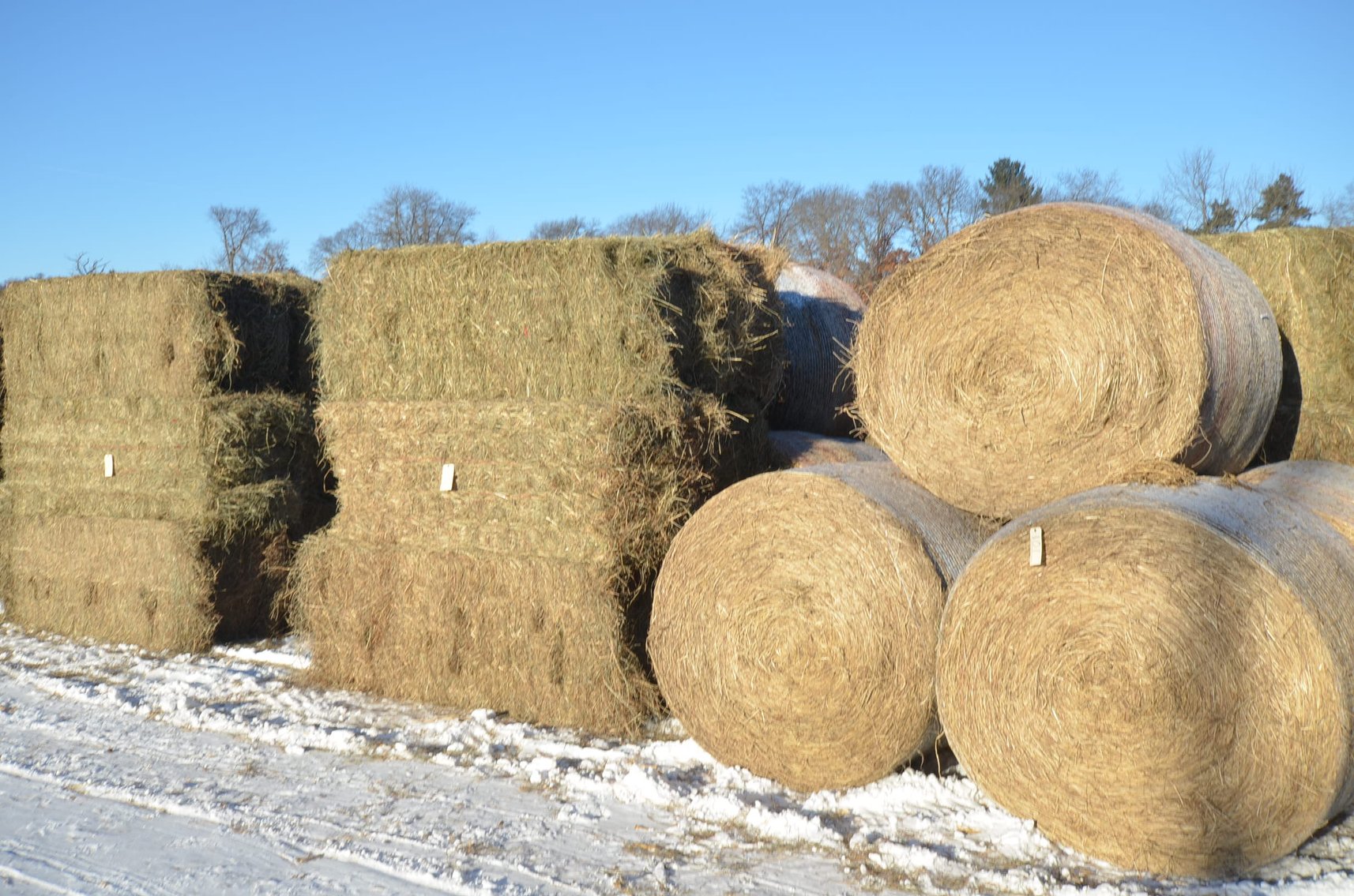 Image for DODGE DECEMBER ONLINE HAY AUCTION - Dodge, WI