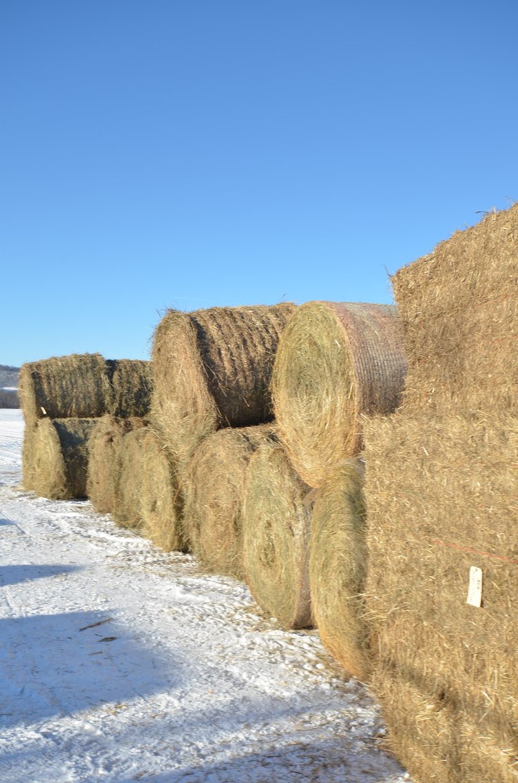 Image for DODGE DECEMBER ONLINE HAY AUCTION - Dodge, WI