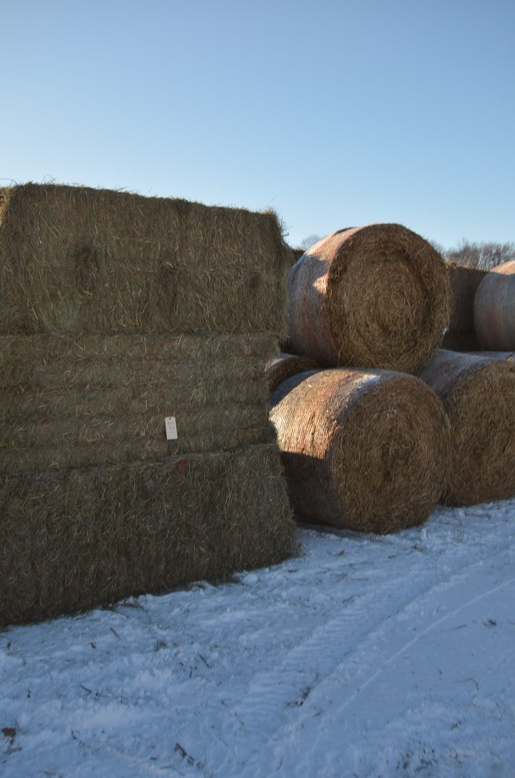 Image for DODGE DECEMBER ONLINE HAY AUCTION - Dodge, WI