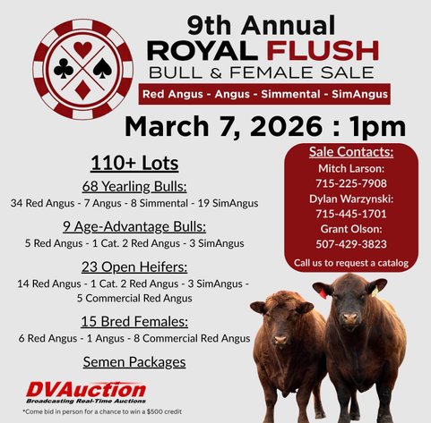 9th ANNUAL ROYAL FLUSH BULL&FEMALE SALE - Nelson, WI