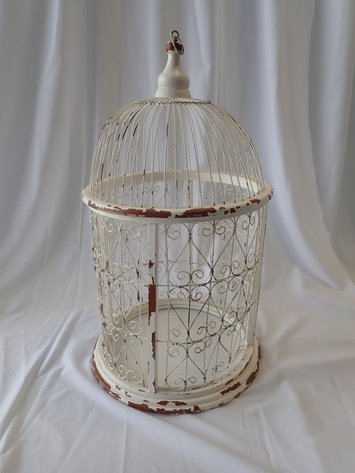 Image for Event & Party Fall Inventory Dispersal - Guelph