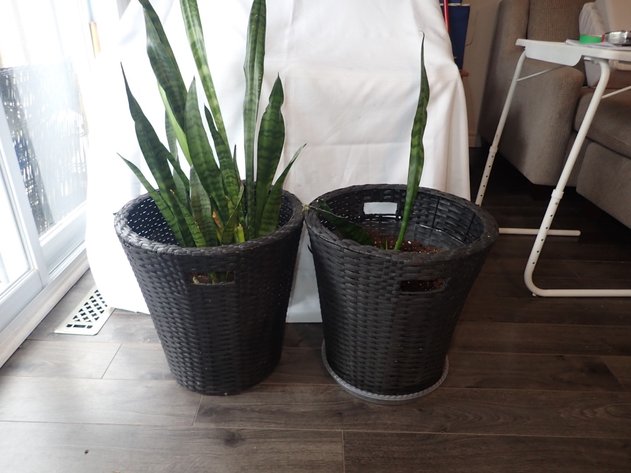 Image for Dagenais Relocation Auction - Orangeville