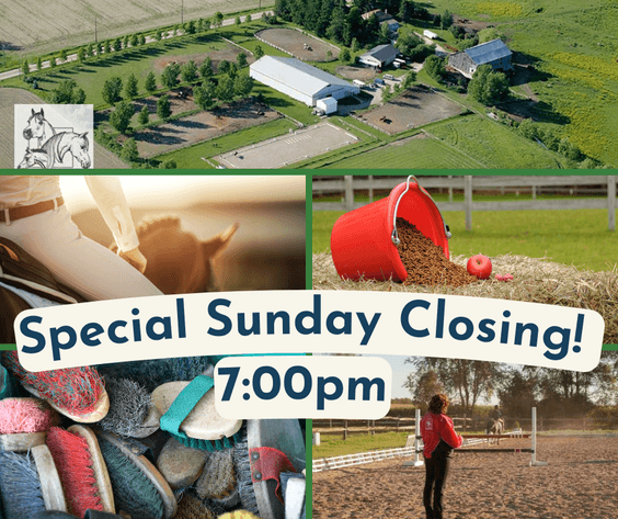 Image for Travis Hall Equestrian Centre Farewell Auction - Centre Wellington