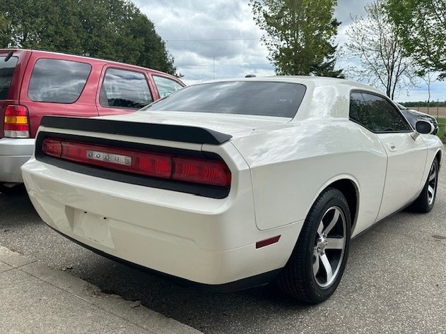 Image for May Blooms Multi Consignor Auction - Guelph