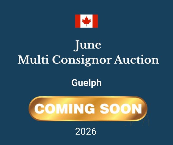 Image for June Multi Consignor Auction - Guelph