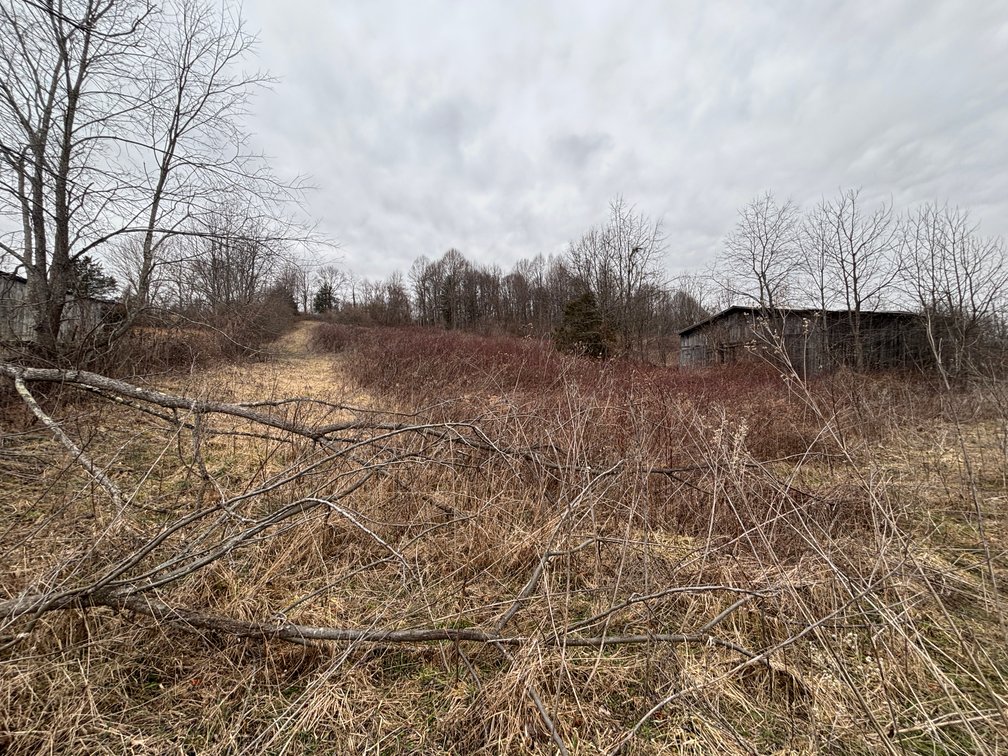 Image for Auction Sat. June 27th @ 10 A.M. Widener Valley Rd Glade Spring, VA
