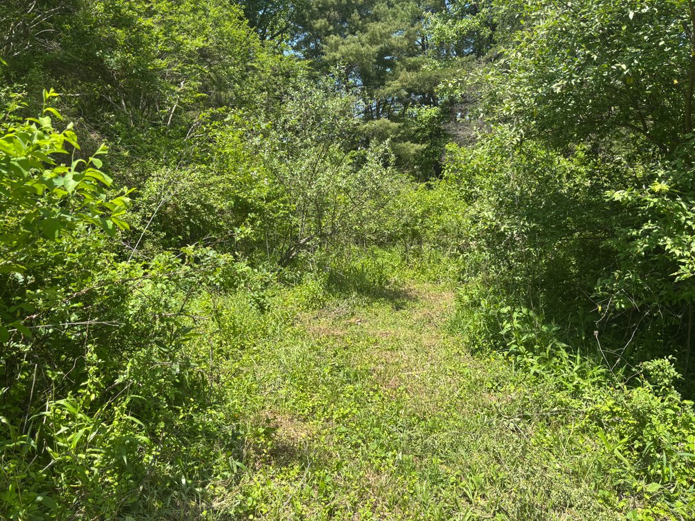 Image for Auction Sat. June 27th @ 10 A.M. Widener Valley Rd Glade Spring, VA