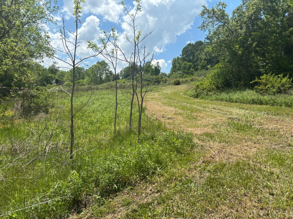 Image for Auction Sat. June 27th @ 10 A.M. Widener Valley Rd Glade Spring, VA