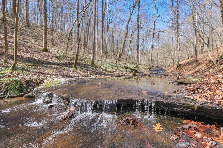 Image for 77 Acre Farm in Williamson County