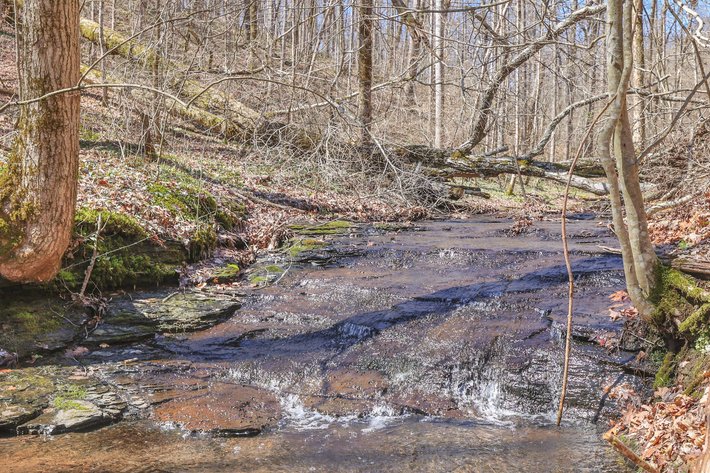 Image for 77 Acre Farm in Williamson County