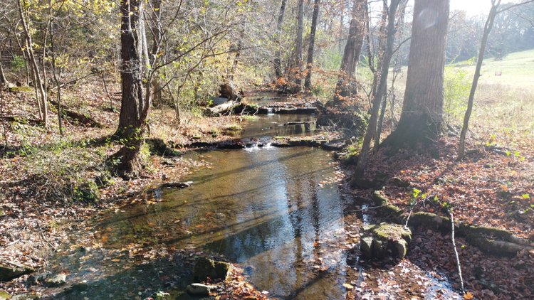 Image for Amazing Barndo/Shop on a Creek - 29 acres in 2 Tracts