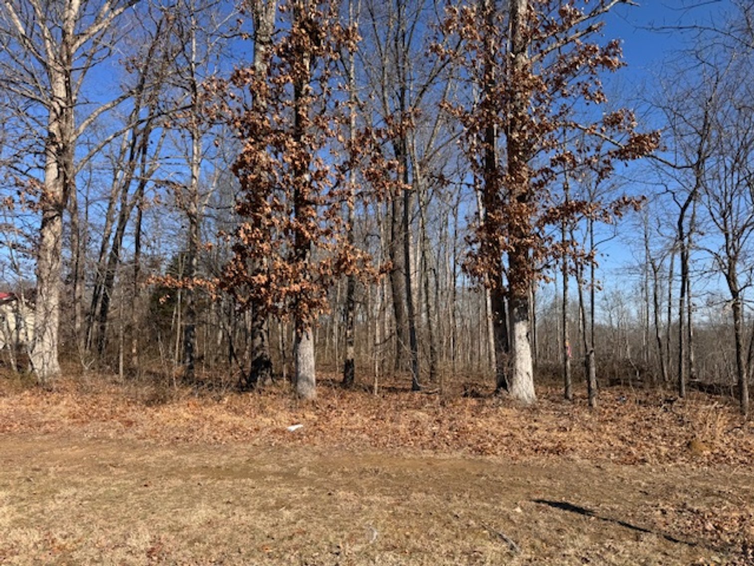 Image for Hwy 100 Vacant Lot - 1.5 acres - Estate Auction