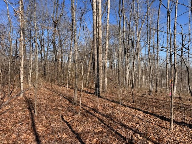 Image for Hwy 100 Vacant Lot - 1.5 acres - Estate Auction