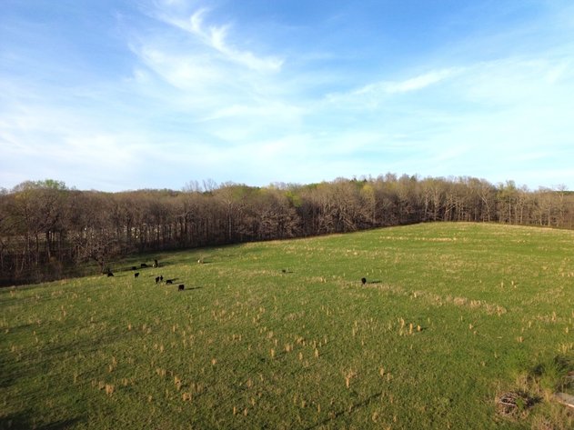 Image for 44 acres - Farm on Beaverdam Creek on Hwy 48 S