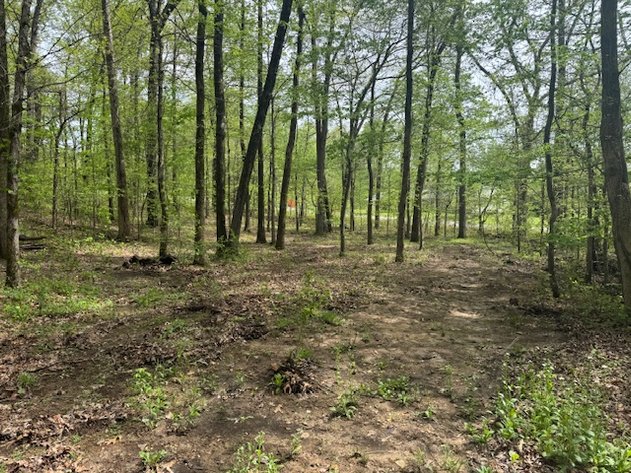 Image for Vacant Lot - 1 Acre in Beacon Light Estates - Bon Aqua, TN