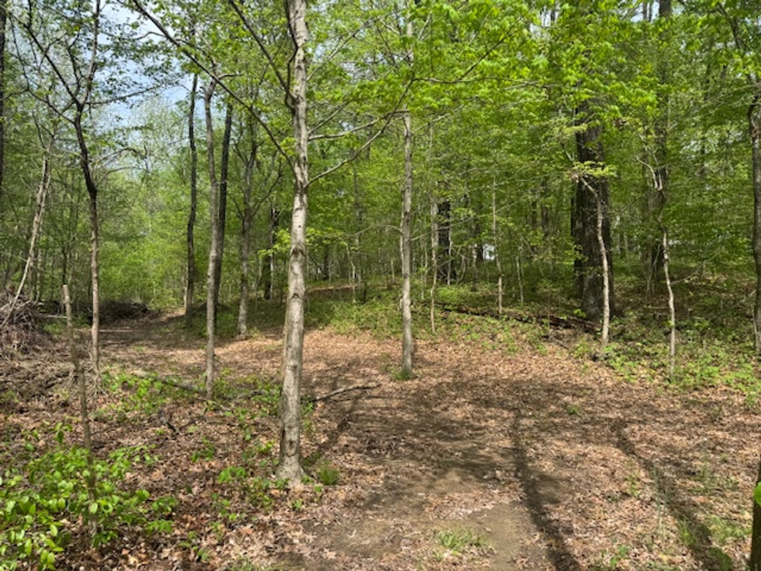 Image for Vacant Lot - 1 Acre in Beacon Light Estates - Bon Aqua, TN