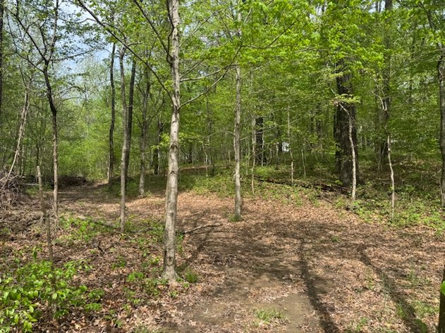 Image for Vacant Lot - 1 Acre in Beacon Light Estates - Bon Aqua, TN