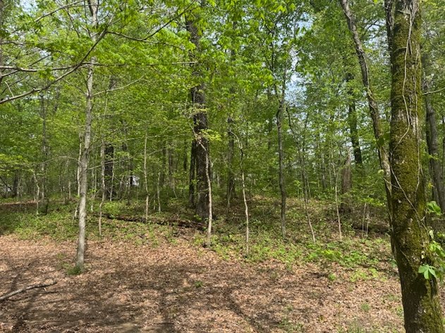 Image for Vacant Lot - 1 Acre in Beacon Light Estates - Bon Aqua, TN