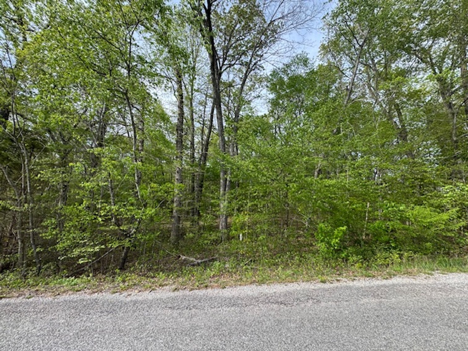 Image for Vacant Lot - 1 Acre in Beacon Light Estates - Bon Aqua, TN