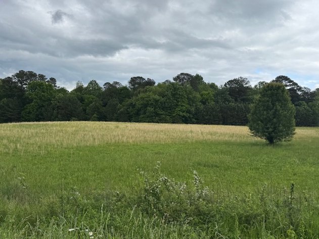 Image for LAND AUCTION - East Hickman County - 23 acres & 4 acres - Highway Frontage