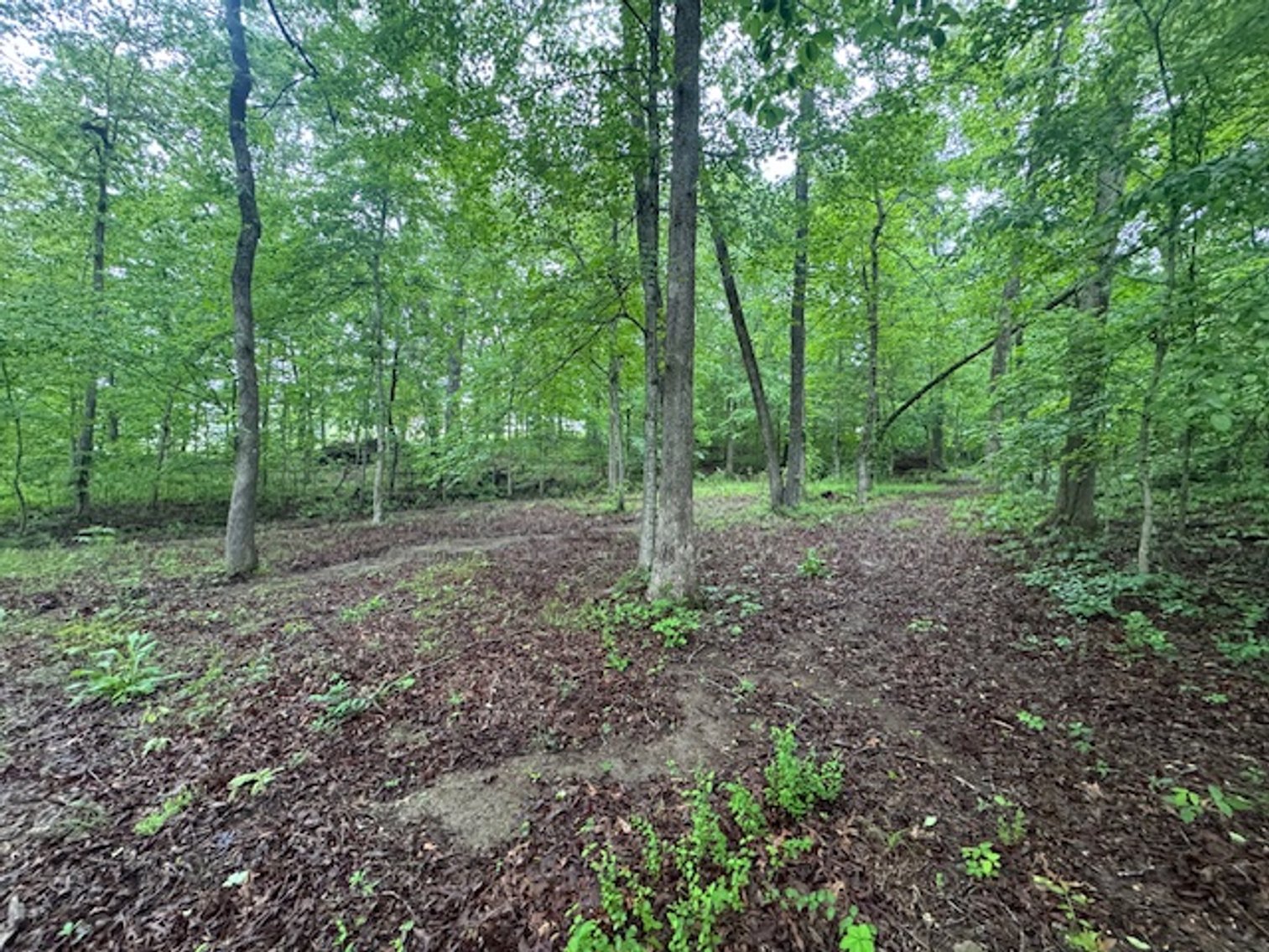 Image for Vacant Lot - 1 Acre in Beacon Light Estates - Bon Aqua, TN