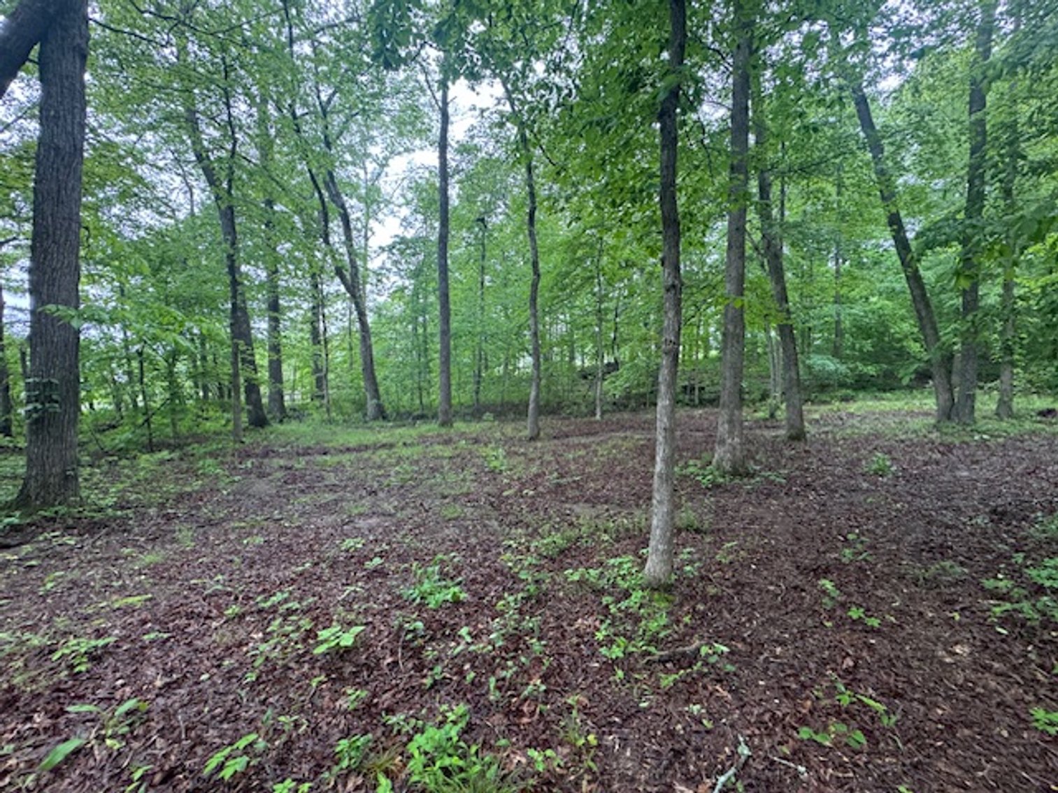 Image for Vacant Lot - 1 Acre in Beacon Light Estates - Bon Aqua, TN