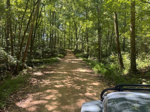 Image for 65 acres on Barren Fork Creek - Bon Aqua, TN