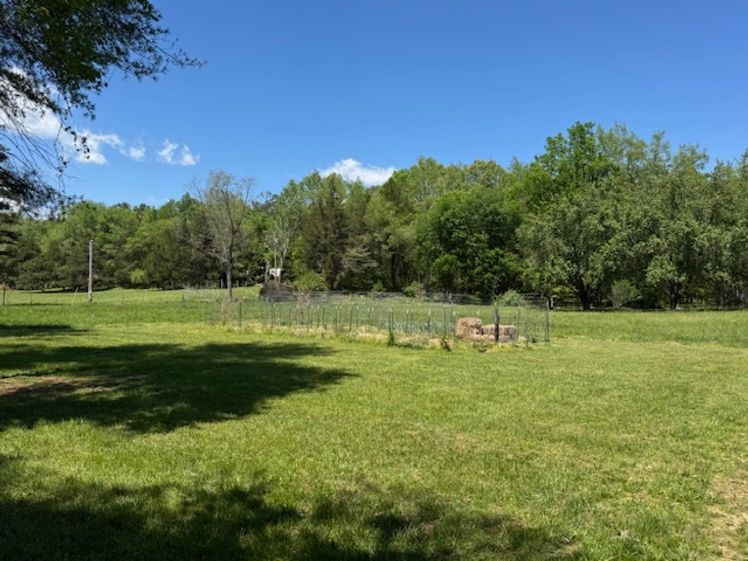 Image for Creekside Haven - Cabin on Bells Branch Creek w/ 3.76 acres