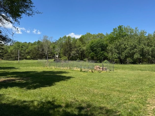 Image for Creekside Haven - Cabin on Bells Branch Creek w/ 3.76 acres