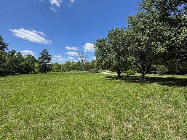 Image for Creekside Haven - Cabin on Bells Branch Creek w/ 3.76 acres