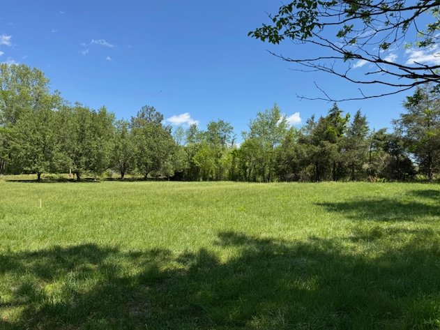 Image for Creekside Haven - Cabin on Bells Branch Creek w/ 3.76 acres