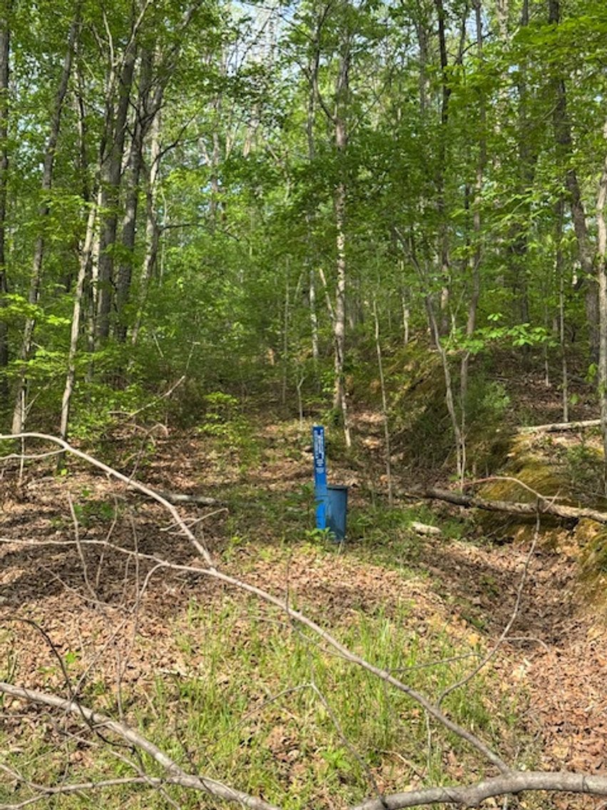 Image for 8 acres just off Hwy 50 on Moss Hollow Road