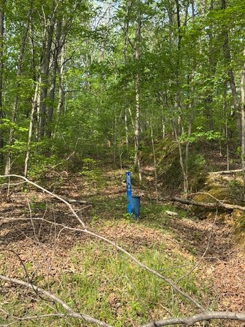 Image for 8 acres just off Hwy 50 on Moss Hollow Road