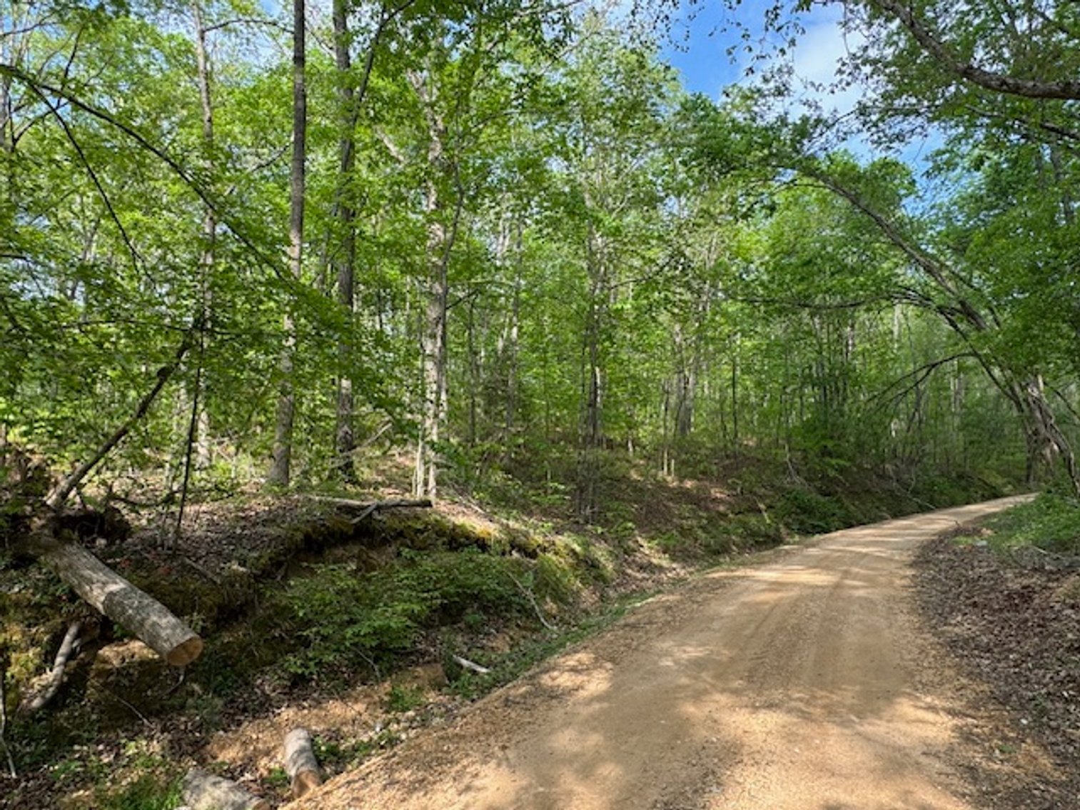 Image for 8 acres just off Hwy 50 on Moss Hollow Road