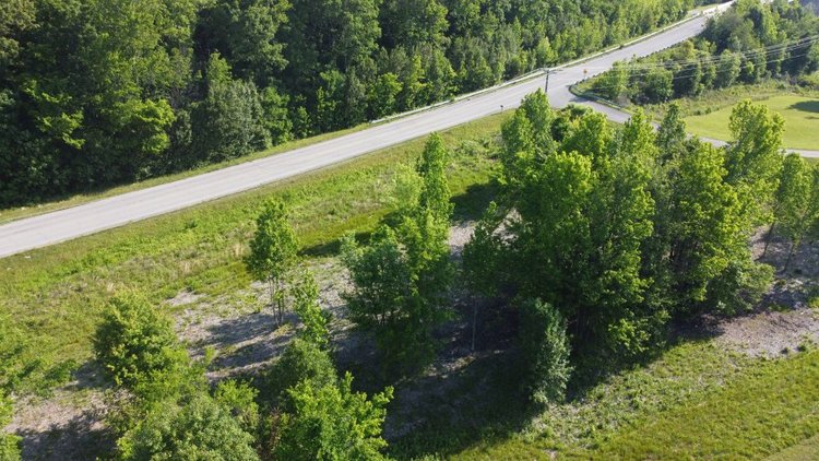 Image for Buildable Lot on Deer Ridge - Fairview / Pinewood area - 1.6 acres
