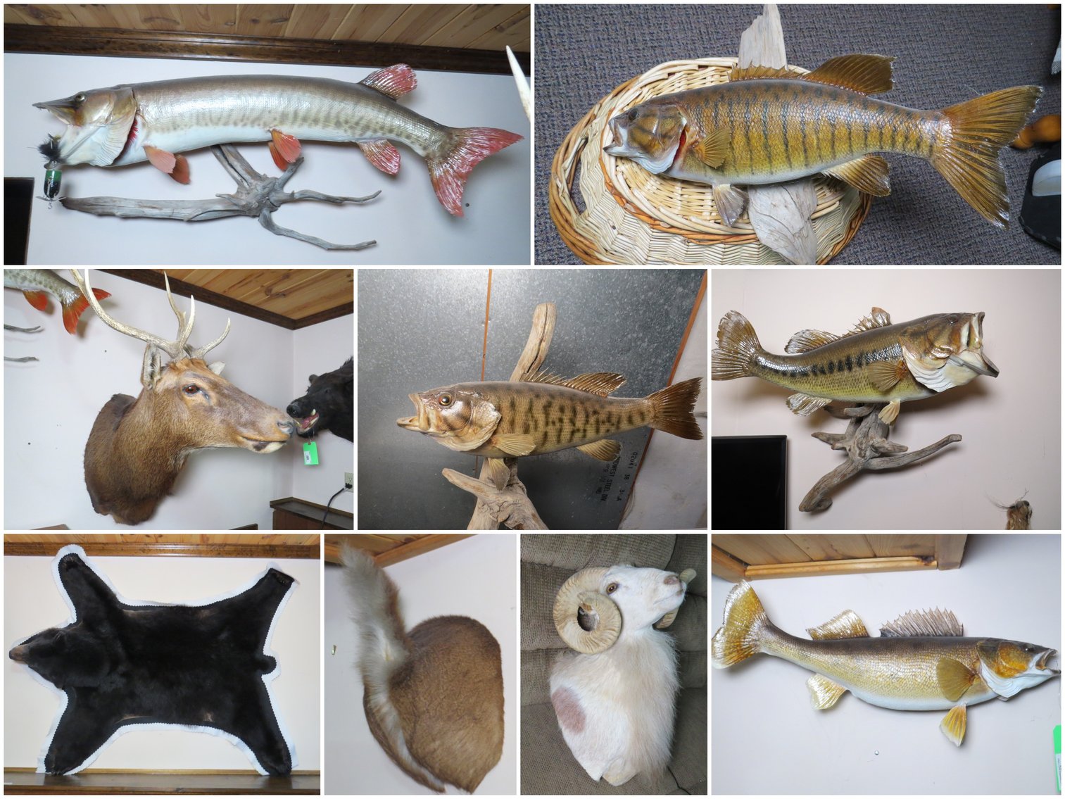 Image for Autumn Treasures: Hunting, Tools, Wine Making, & More