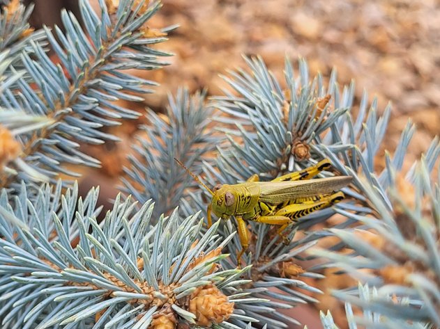 Image for Wilson's Nursery Spring 2024 Inventory Reduction