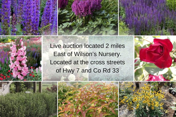 Image for Wilson's Nursery July 2024 Inventory Reduction
