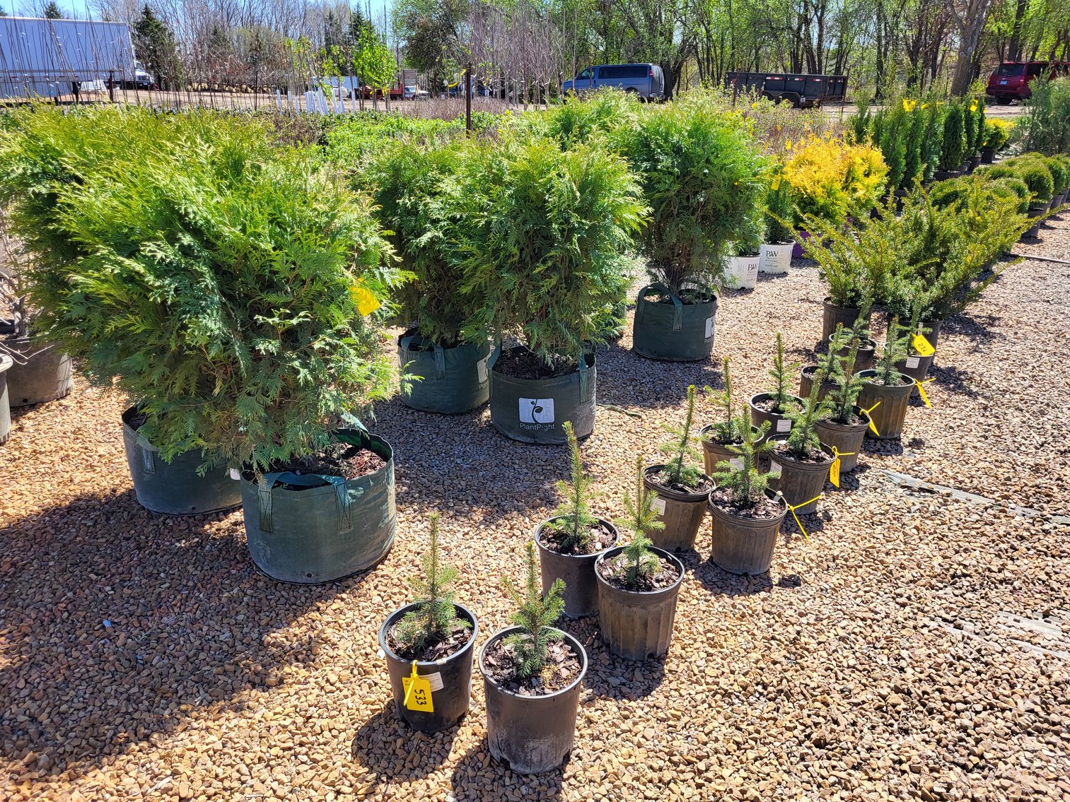 Image for Nursery Overstock Spring 2025