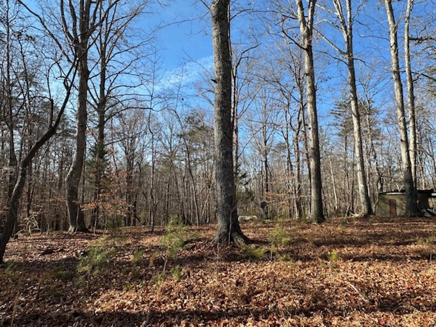 Image for 1590 Wray Rd., Stoneville, NC