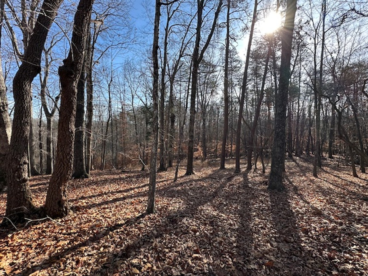Image for 1590 Wray Rd., Stoneville, NC