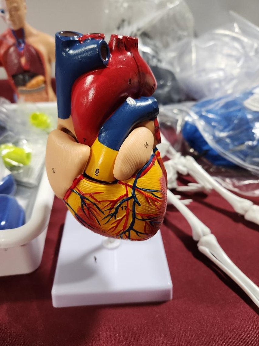 Image for Nurse & Medical Training Equipment - Omaha, NE