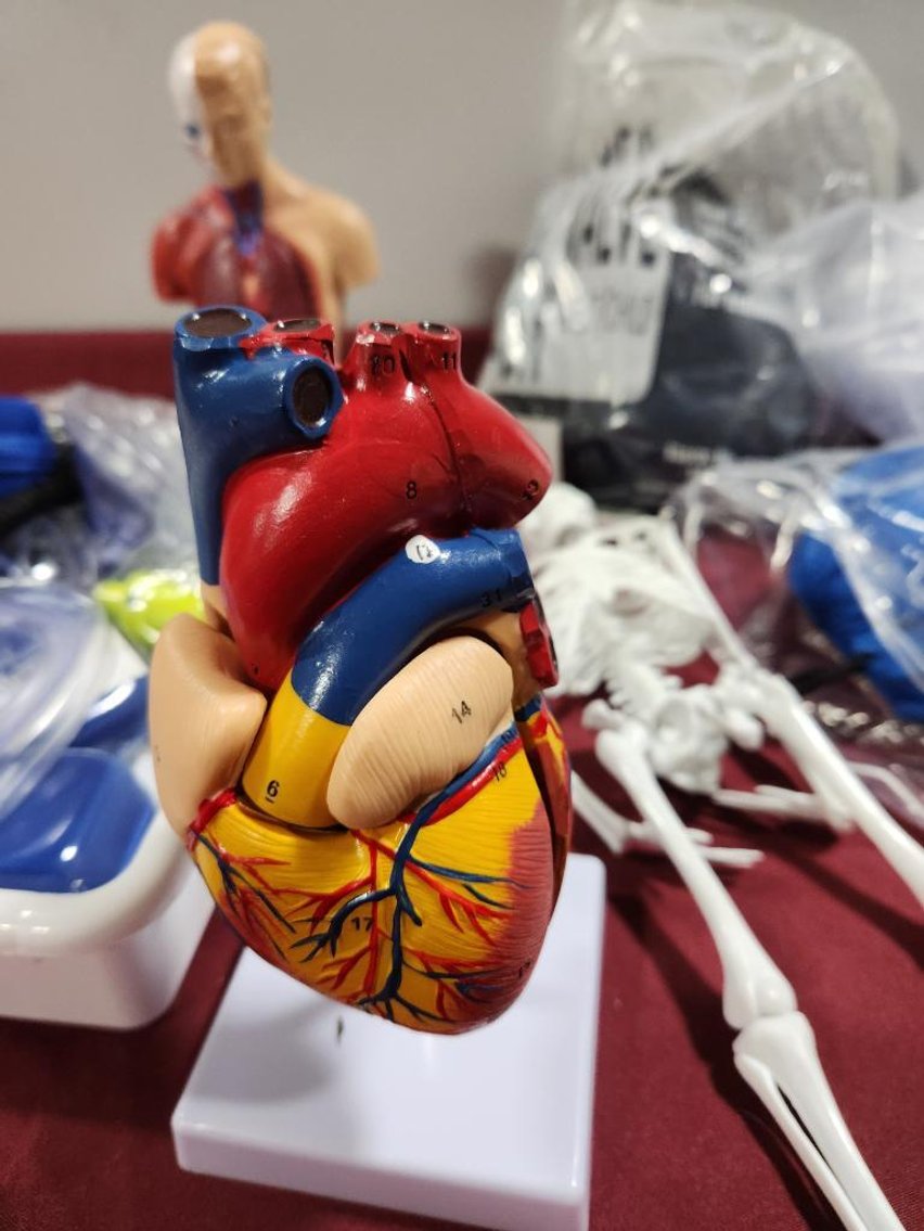 Image for Nurse & Medical Training Equipment - Omaha, NE