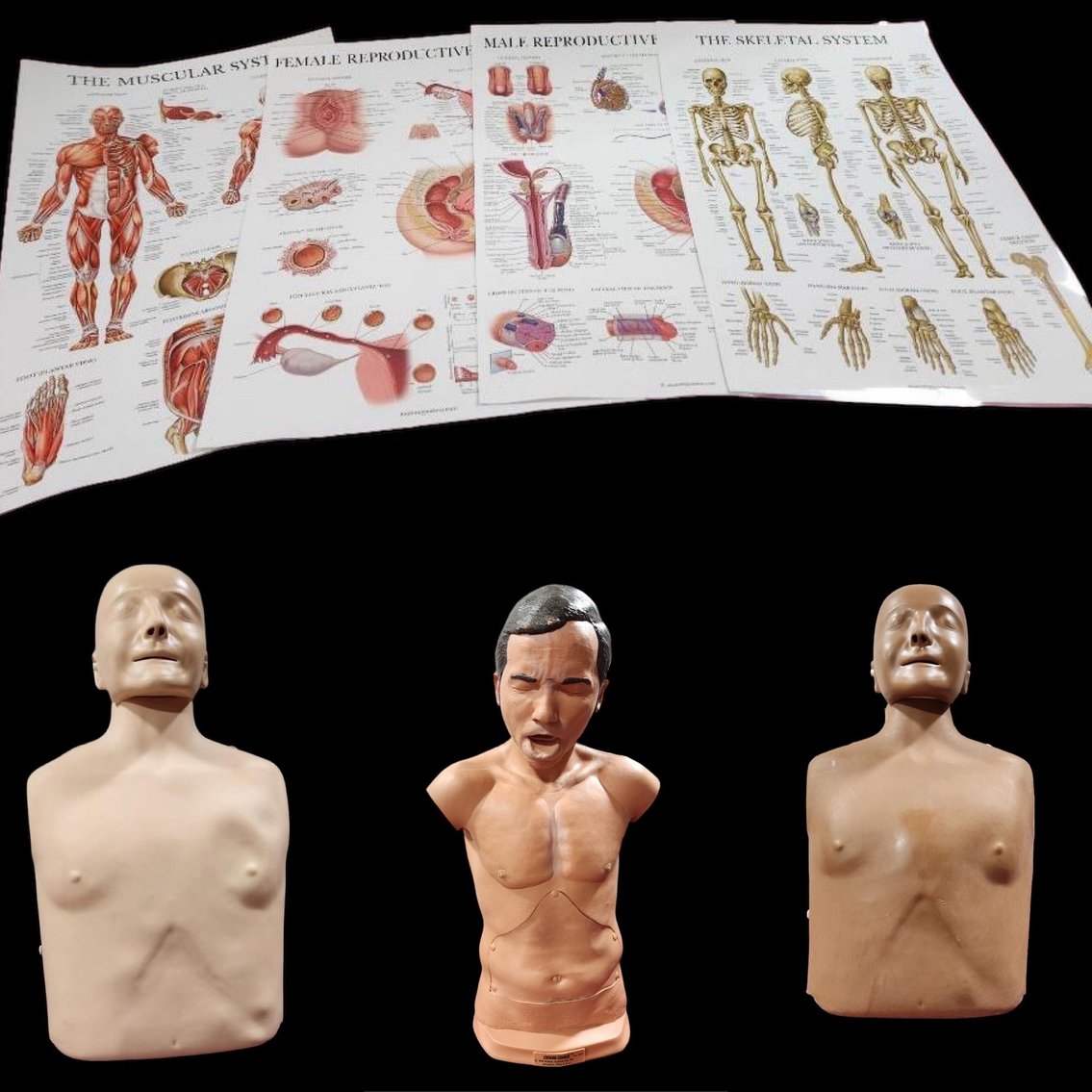 Image for Nurse & Medical Training Equipment - Omaha, NE