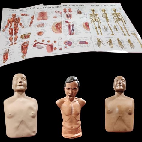 Image for Nurse & Medical Training Equipment - Omaha, NE