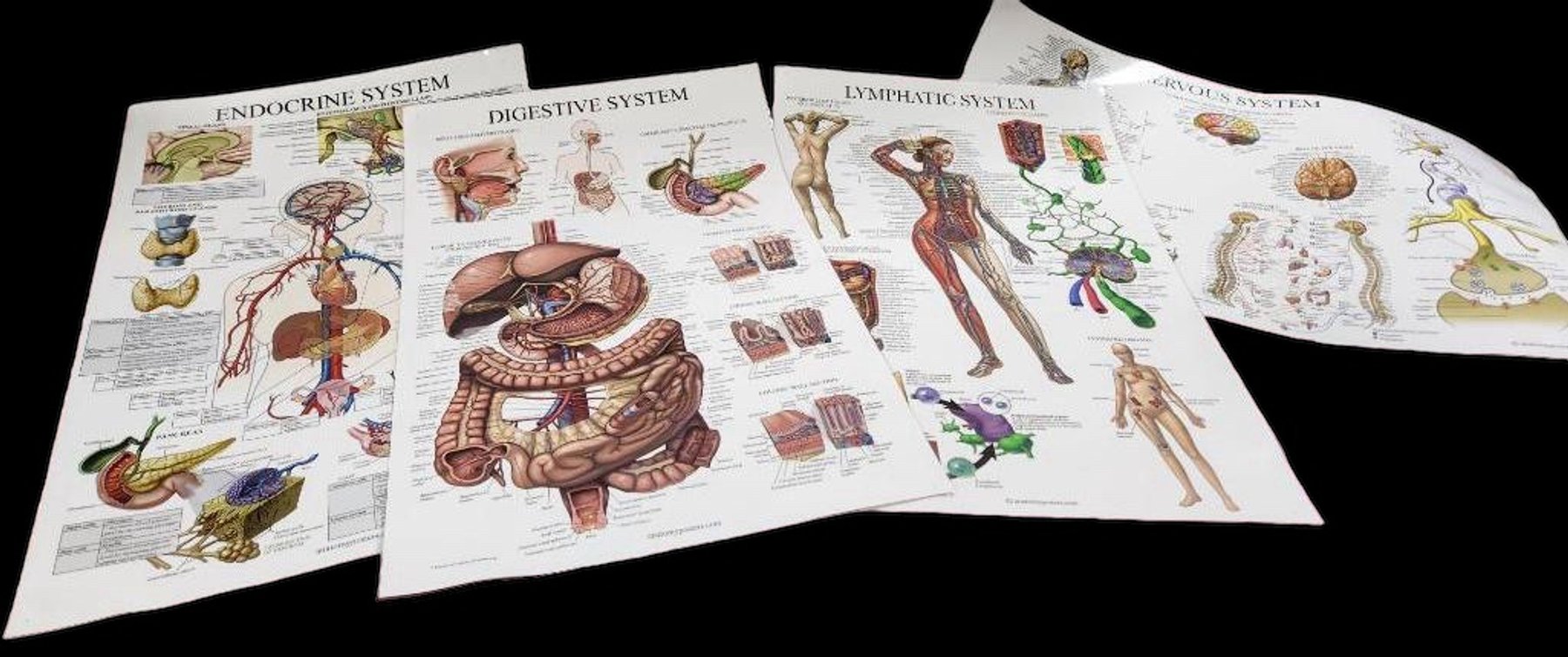 Image for Nurse & Medical Training Equipment - Omaha, NE