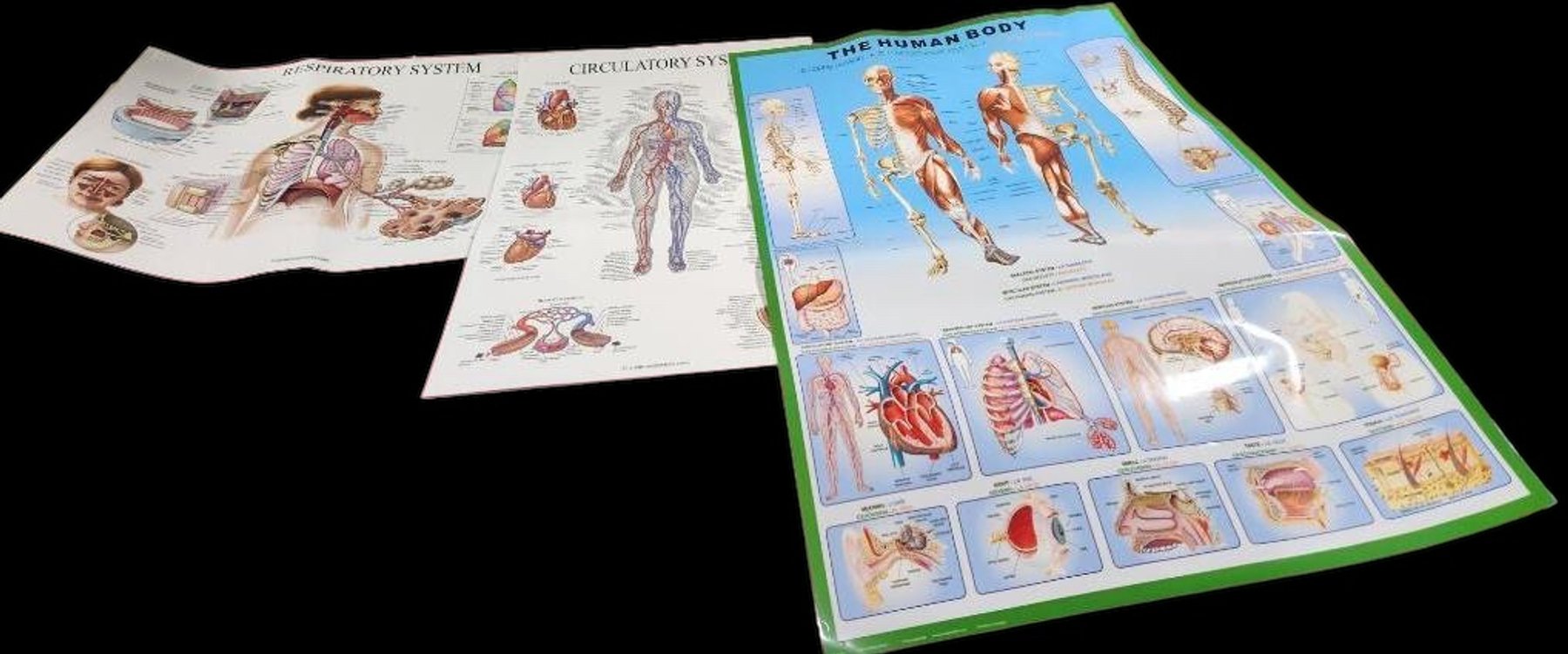 Image for Nurse & Medical Training Equipment - Omaha, NE